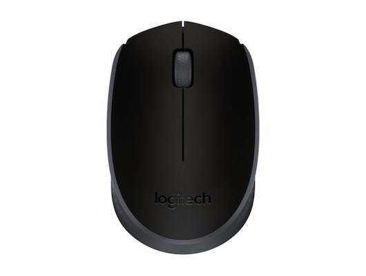 Мышь беспроводная Logitech M171 Black-Black